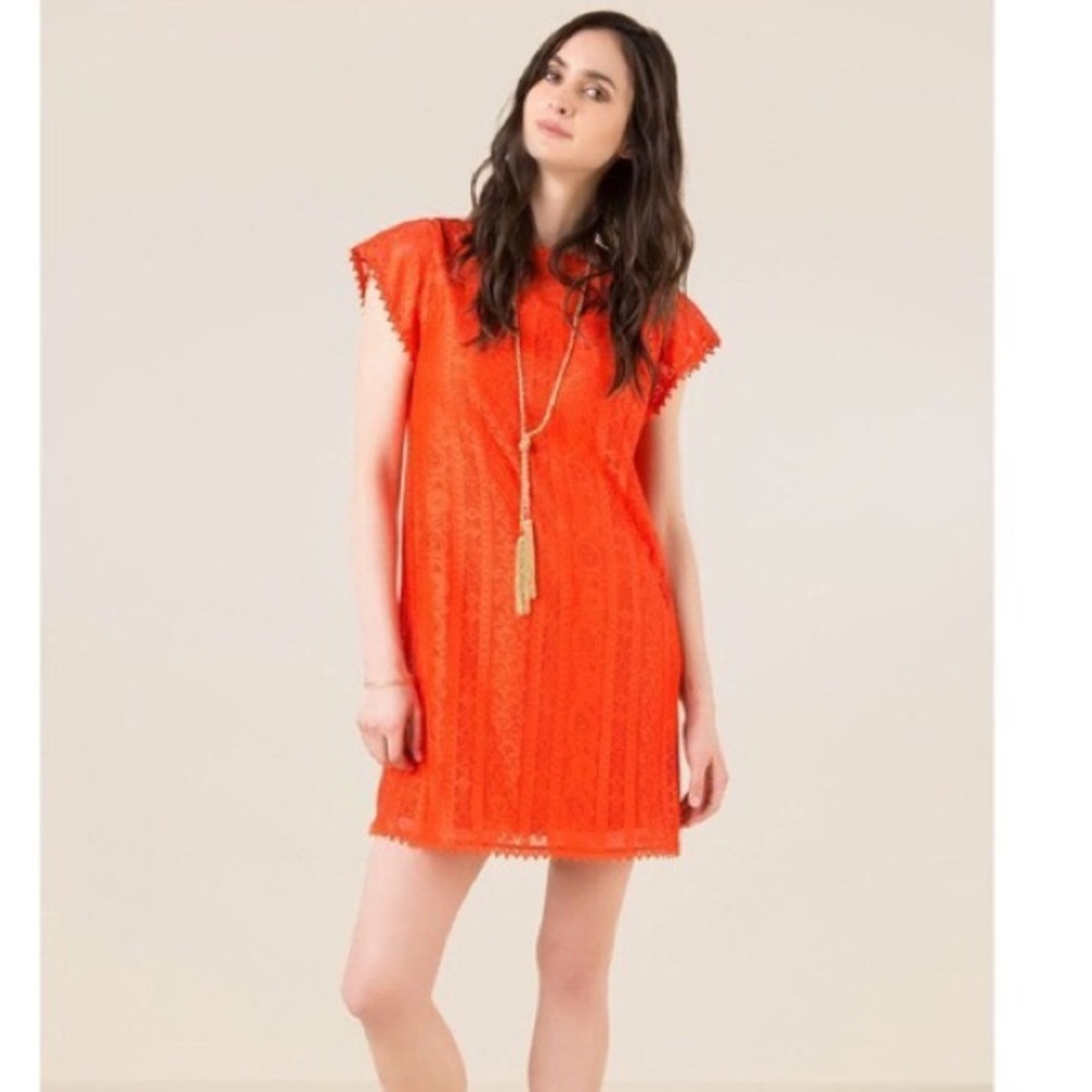 NWT orange lace Miami dress size XS